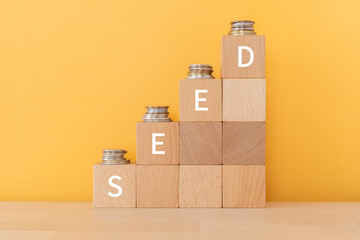 Wooden cubes stacked with coins on top spelling the word "SEED"